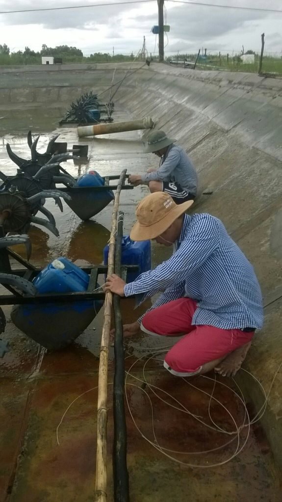 Thực tập Co-op nâng cao kỹ năng thực hành thực tế cho sinh viên ngành Nuôi trồng Thuỷ sản